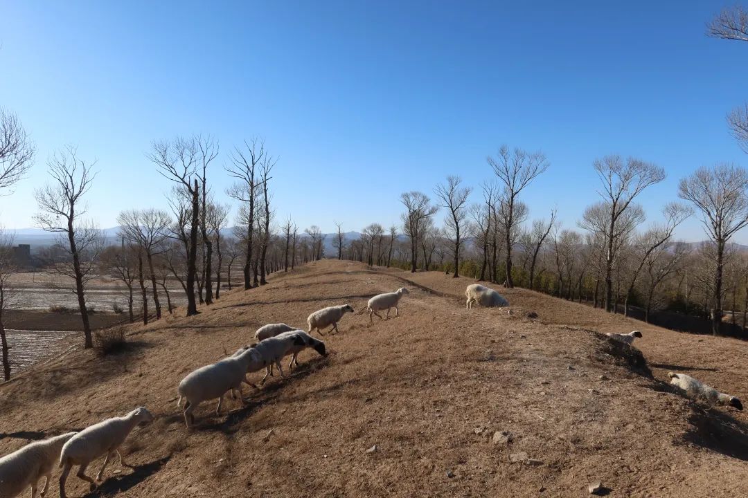 我从山海关爬到了嘉峪关（连载十） 