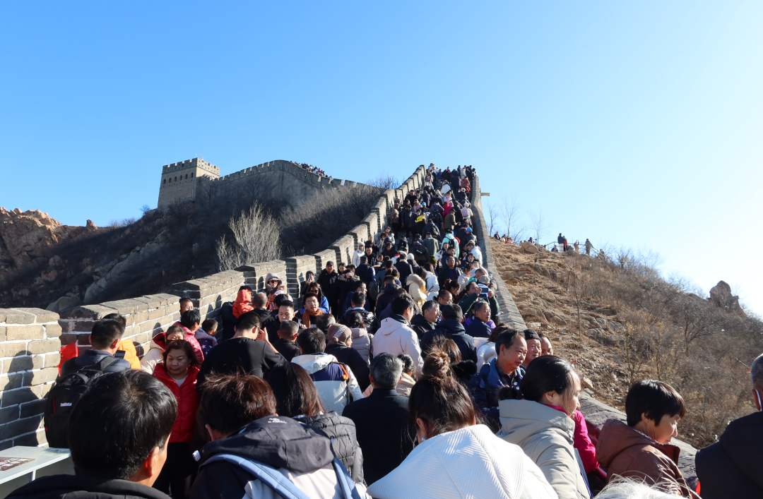 上位，候补中！ 