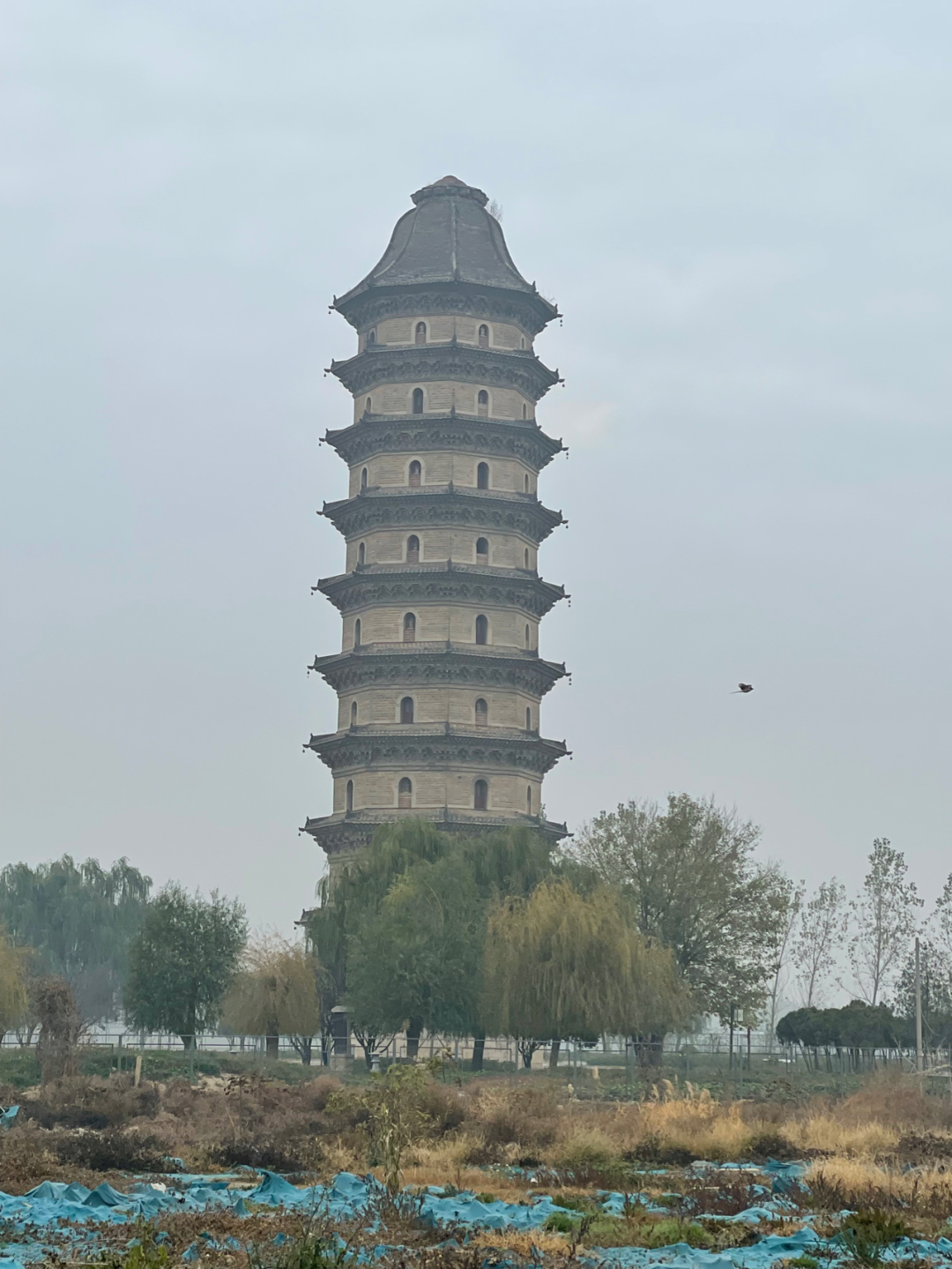 《懂懂骑山东》--聊城临清市 