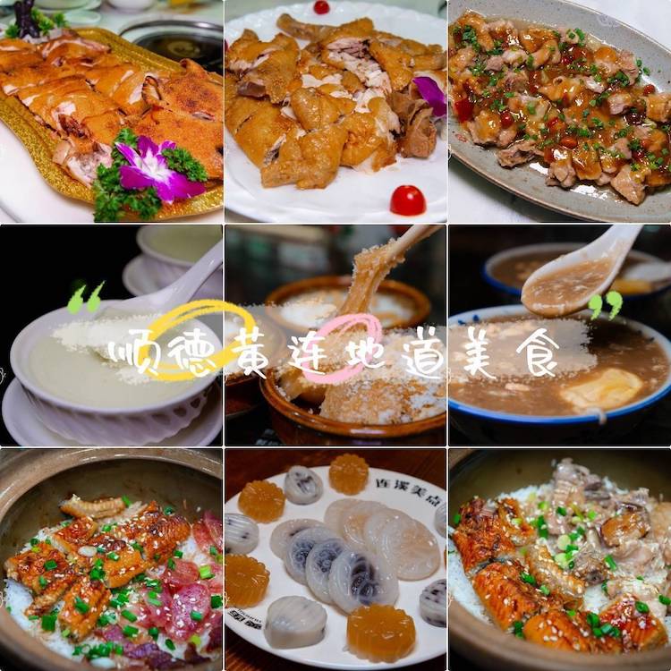 【寻味顺德】逛千年古村黄连村,走进岭南周庄逢简水乡,乘船登原生态海寿岛游玩